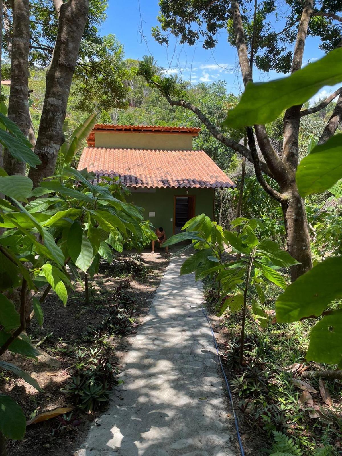 Paraiso Da Mata Itacare酒店 客房 照片